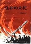 燧石的火花  周恩来在重庆  话剧剧本 封面