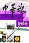 中华魂丛书  智慧卷 封面