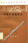 小煤矿采掘技术 封面