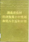 湖北省农村经济发展十年规划和第八个五年计划 封面