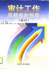 审计工作底稿编制指导  试行 封面