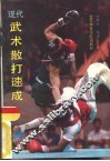 现代武术散打速成 封面