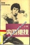 少林内功绝技 封面