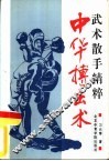 中华搏击术  武术散手精粹 封面