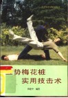 五势梅花桩实用技击术 封面