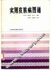 实用皮肤图谱 封面