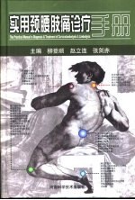 实用颈腰肢痛诊疗手册 封面