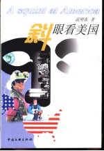 斜眼看美国 封面