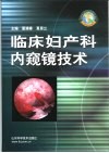 临床妇产科内窥镜技术 封面