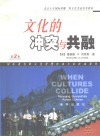 文化的冲突与共融 封面