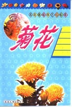 名花栽培技艺与欣赏  菊花 封面