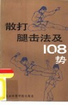 散打腿击法及180势 封面
