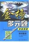 综合素质训练·金榜多元题智能解题  初中数学 封面