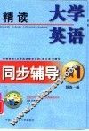 大学英语精读同步辅导  预备一级 封面