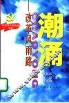 潮涌  改革风雨路 封面