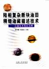 陆相复杂断块油田精细油藏描述技术  以港东开发区为例 封面