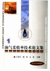 油气采收率技术论文集  1 封面