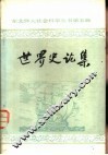 世界史论集 封面