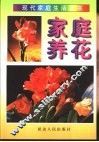 家庭养花 封面