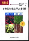 新版植物营养元素缺乏与过剩诊断原色图谱 封面