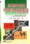 除草剂安全使用与药害诊断原色图谱 封面