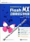 Flash MX动画高级实例教程  挑战高级网页设计师 封面