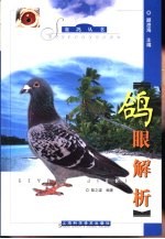 鸽眼解析 封面