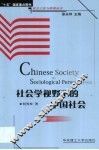 社会学视野下的中国社会 封面