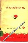 大庆红旗处处飘 封面
