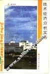 技术经济分析实务 封面