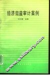 经济效益审计案例 封面