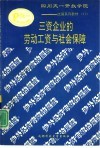 三资企业的劳动工资与社会保障 封面