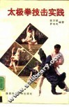 太极拳技击实践 封面