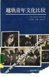 越轨青年文化比较 封面