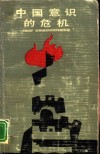 中国意识的危机  “五四”时期激烈的反传统主义 封面