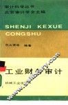 工业财务审计 封面