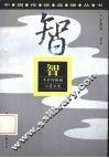 智  千古闪烁的心灵之光 封面
