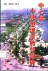 中心镇：小城镇建设的新趋势  山东中心镇建设的实践探索 封面