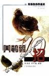 养鹌鹑10招 封面