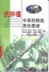 抗肿瘤中草药精选原色图谱 封面