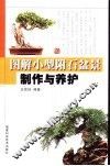 图解小型附石盆景制作与养护 封面