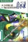 大国忧思  知识经济启示录 封面