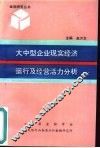 大中型企业现实经济运行及经营活力分析 封面