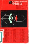 明智的激进派经济政策指南  混合经济 封面