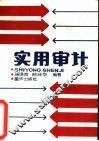 实用审计 封面