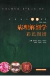 病理解剖学彩色图谱 封面
