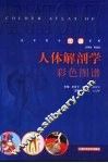 人体解剖学彩色图谱  英汉对照 封面