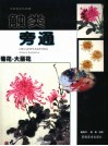 触类旁通  中国画技法新解  菊花·大雨花 封面
