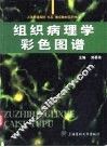 组织病理学彩色图谱 封面