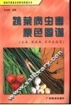蔬菜病虫害原色图谱  豆类、葱蒜类、多年生蔬菜 封面